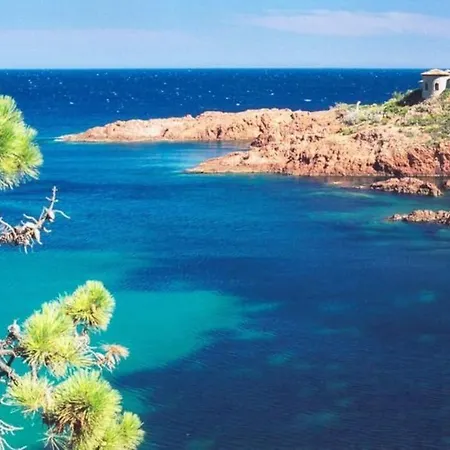 Superbe Dans Provencale Piscine Et Jardin Apartment Frejus